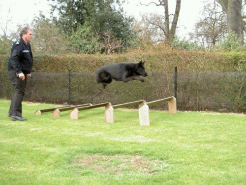 Growing Up And Adults