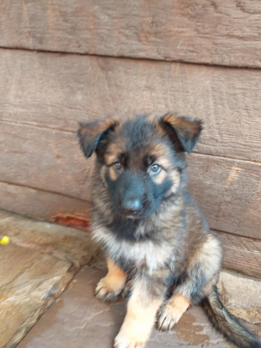 Beautiful-Babies-001