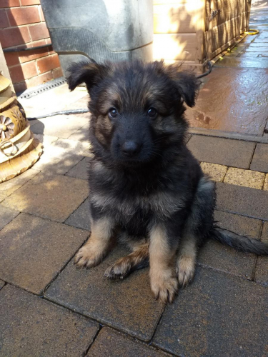 Beautiful-Babies-002