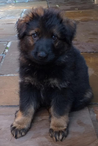 Beautiful-Babies-003