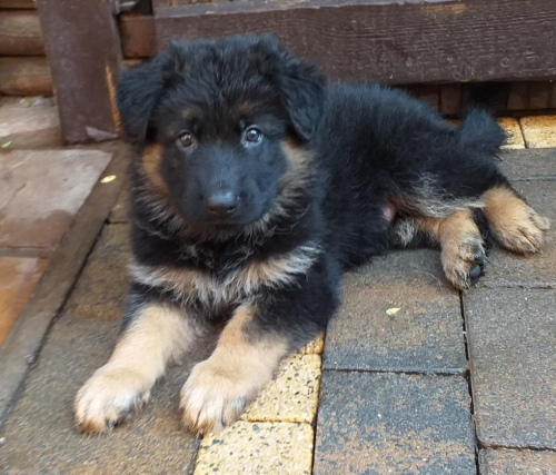 Beautiful-Babies-004