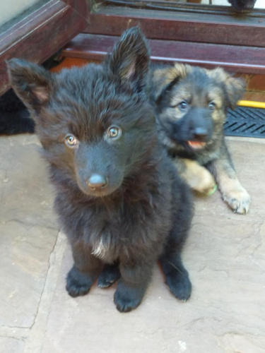 Beautiful-Babies-006