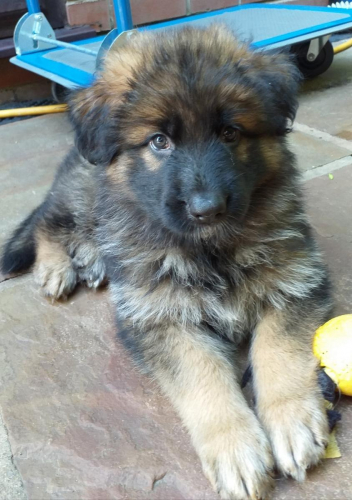 Beautiful-Babies-007