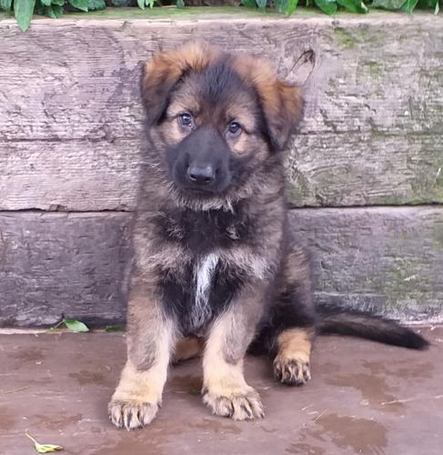 Beautiful-Babies-008