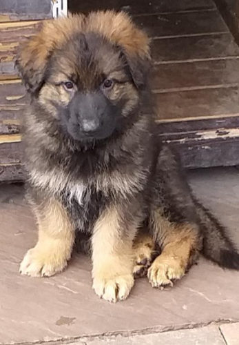 Beautiful-Babies-009