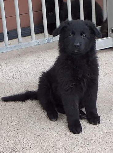 Beautiful-Babies-010