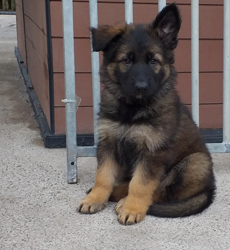 Beautiful-Babies-011