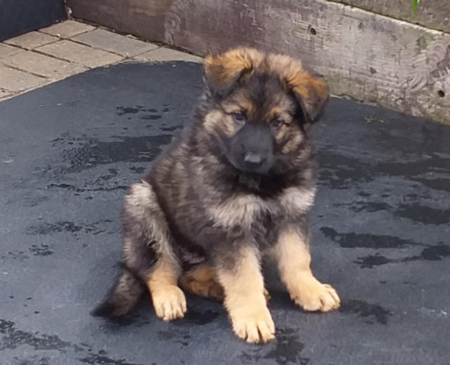 Beautiful-Babies-012