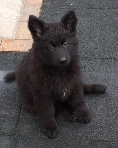 Beautiful-Babies-013