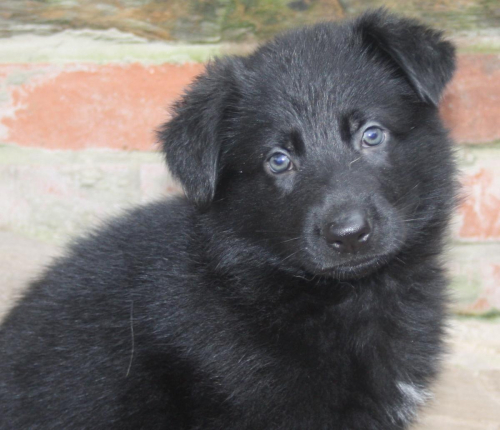 Beautiful-Babies-014