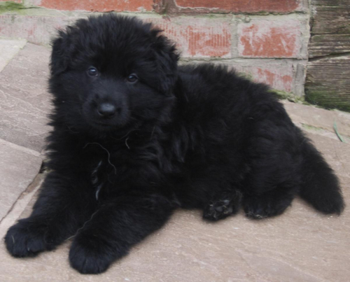 Beautiful-Babies-015