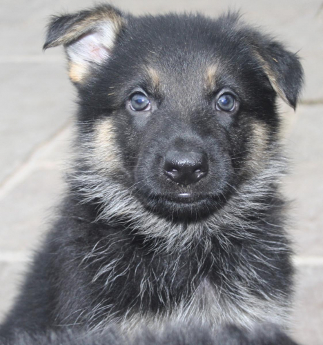 Beautiful-Babies-016