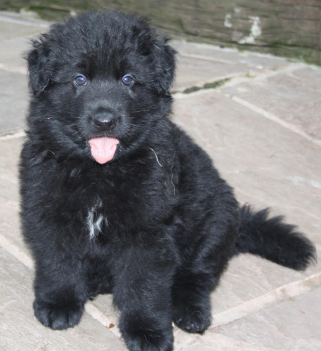 Beautiful-Babies-017