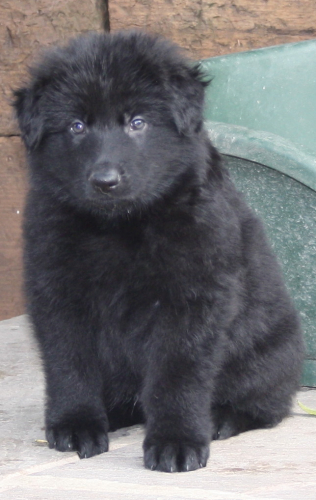 Beautiful-Babies-018