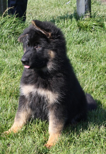 Beautiful-Babies-019