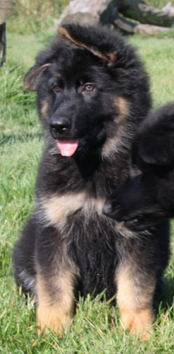 Beautiful-Babies-021