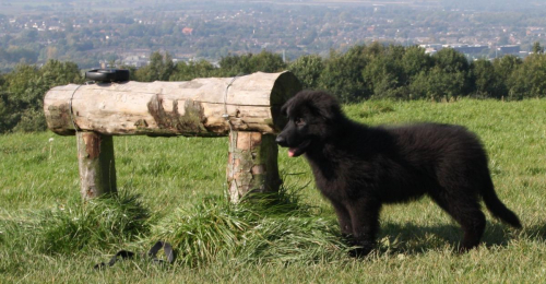 Beautiful-Babies-022