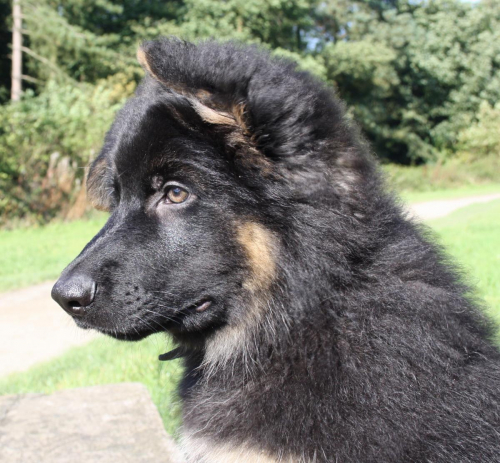 Beautiful-Babies-023