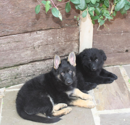 Beautiful-Babies-024