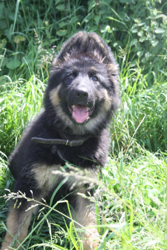 Beautiful-Babies-025