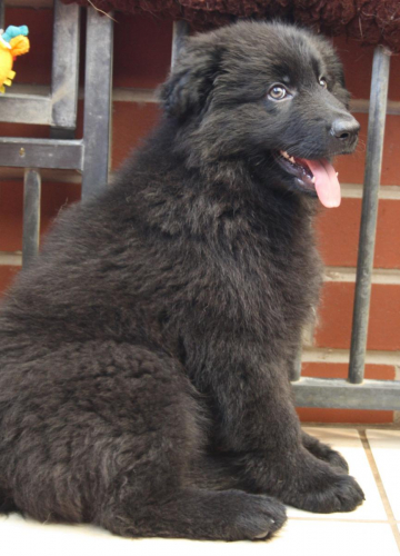 Beautiful-Babies-026