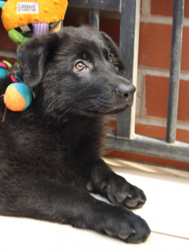 Beautiful-Babies-027