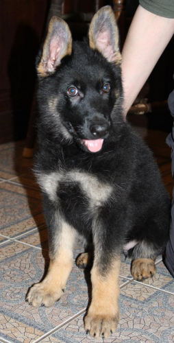 Beautiful-Babies-028