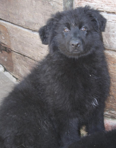 Beautiful-Babies-029