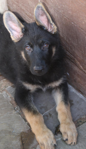 Beautiful-Babies-030