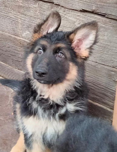 June 22 Litter Update