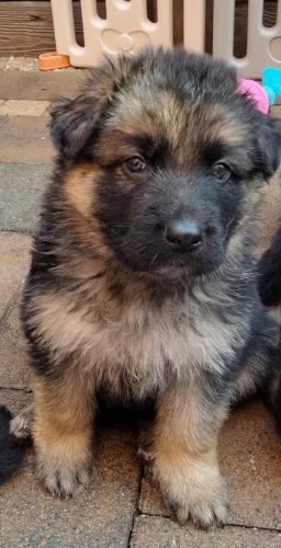 April '23 Litter Update